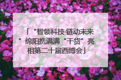 “智领科技·链动未来”绵阳携满满“干货”亮相第二十届西博会