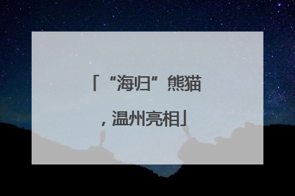 “海归”熊猫，温州亮相