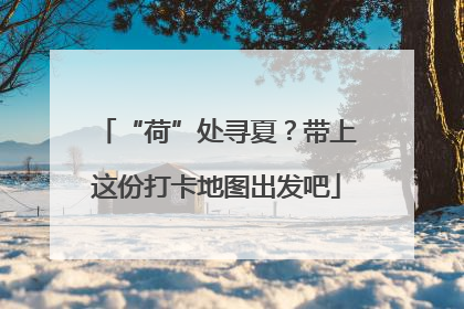 “荷”处寻夏？带上这份打卡地图出发吧
