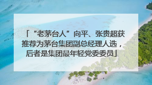 “老茅台人”向平、张贵超获推荐为茅台集团副总经理人选，后者是集团最年轻党委委员