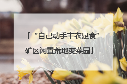 “自己动手丰衣足食”矿区闲置荒地变菜园