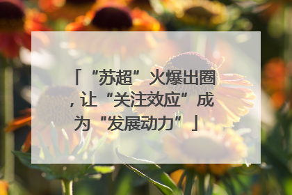 “苏超”火爆出圈，让“关注效应”成为“发展动力”