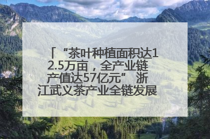 “茶叶种植面积达12.5万亩，全产业链产值达57亿元” 浙江武义茶产业全链发展“加速度”