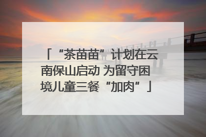 “茶苗苗”计划在云南保山启动 为留守困境儿童三餐“加肉”