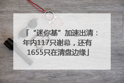 “迷你基”加速出清：年内117只谢幕，还有1655只在清盘边缘