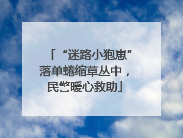“迷路小狍崽”落单蜷缩草丛中，民警暖心救助