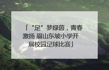 “足”梦绿茵，青春激扬 眉山东坡小学开展校园足球比赛