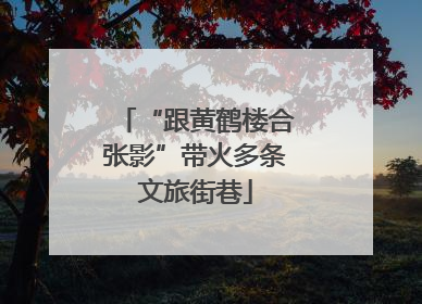 “跟黄鹤楼合张影”带火多条文旅街巷