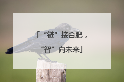 “链”接合肥，“智”向未来