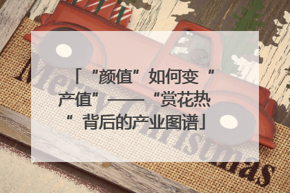 “颜值”如何变“产值”——“赏花热”背后的产业图谱