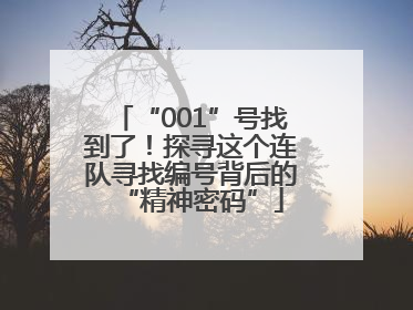 “001”号找到了！探寻这个连队寻找编号背后的“精神密码”