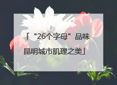 “26个字母”品味昆明城市肌理之美