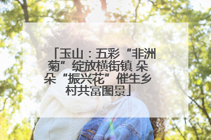 玉山：五彩“非洲菊”绽放横街镇 朵朵“振兴花”催生乡村共富图景