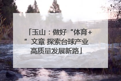 玉山：做好“体育+”文章 探索台球产业高质量发展新路