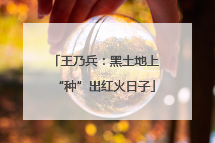 王乃兵：黑土地上“种”出红火日子