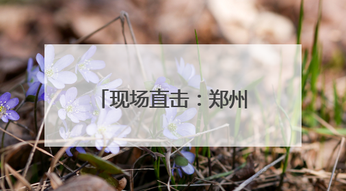 现场直击：郑州航空港高考考场外的“定海神针”