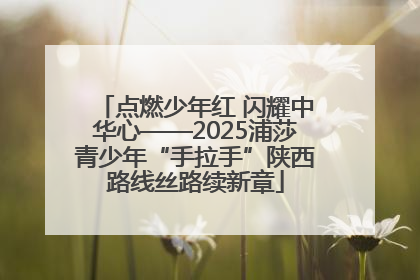 点燃少年红 闪耀中华心——2025浦莎青少年“手拉手”陕西路线丝路续新章