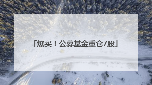 爆买！公募基金重仓7股