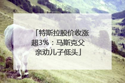 特斯拉股价收涨超3%：马斯克父亲劝儿子低头