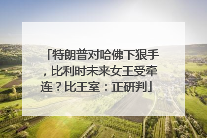 特朗普对哈佛下狠手，比利时未来女王受牵连？比王室：正研判