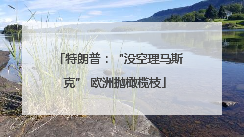 特朗普：“没空理马斯克” 欧洲抛橄榄枝