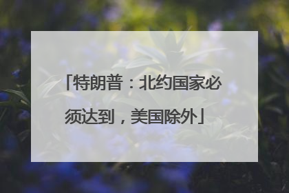 特朗普：北约国家必须达到，美国除外