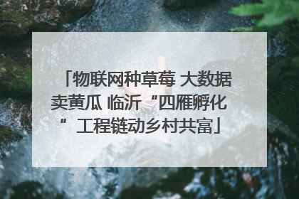 物联网种草莓 大数据卖黄瓜 临沂“四雁孵化”工程链动乡村共富