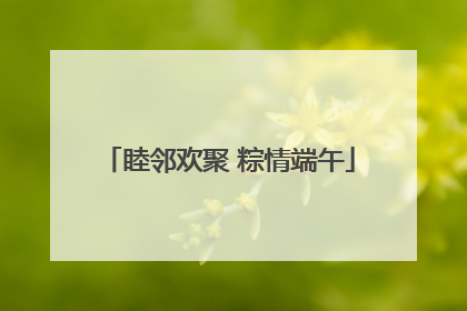 睦邻欢聚 粽情端午