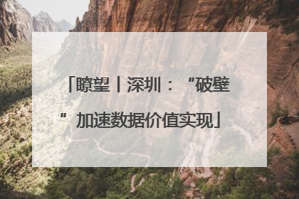 瞭望丨深圳：“破壁”加速数据价值实现