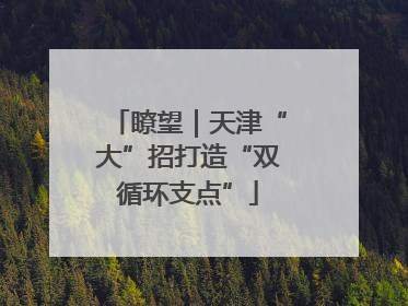 瞭望｜天津“大”招打造“双循环支点”