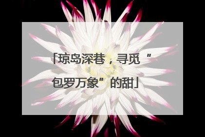 琼岛深巷，寻觅“包罗万象”的甜