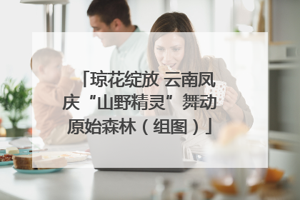 琼花绽放 云南凤庆“山野精灵”舞动原始森林（组图）