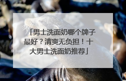 男士洗面奶哪个牌子最好？清爽无负担！十大男士洗面奶推荐