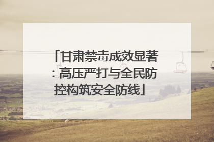 甘肃禁毒成效显著：高压严打与全民防控构筑安全防线