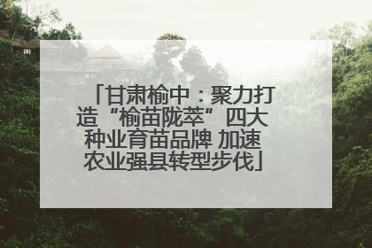 甘肃榆中：聚力打造“榆苗陇萃”四大种业育苗品牌 加速农业强县转型步伐