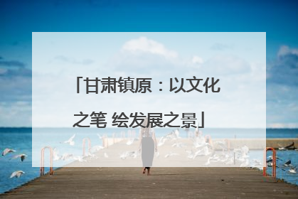 甘肃镇原：以文化之笔 绘发展之景