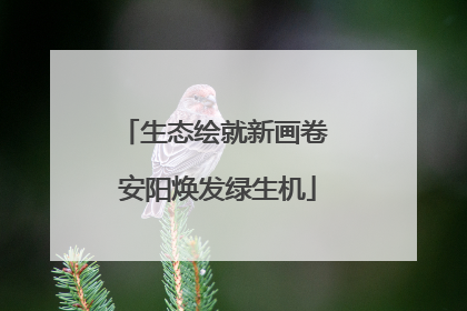 生态绘就新画卷 安阳焕发绿生机