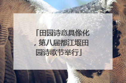 田园诗意具像化，第八届都江堰田园诗歌节举行