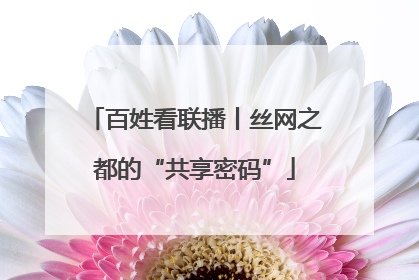 百姓看联播丨丝网之都的“共享密码”