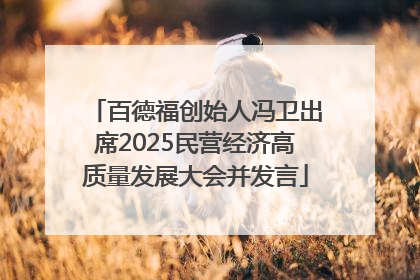 百德福创始人冯卫出席2025民营经济高质量发展大会并发言