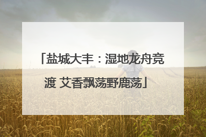 盐城大丰：湿地龙舟竞渡 艾香飘荡野鹿荡