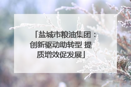 盐城市粮油集团：创新驱动助转型 提质增效促发展