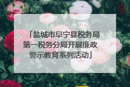 盐城市阜宁县税务局第一税务分局开展廉政警示教育系列活动