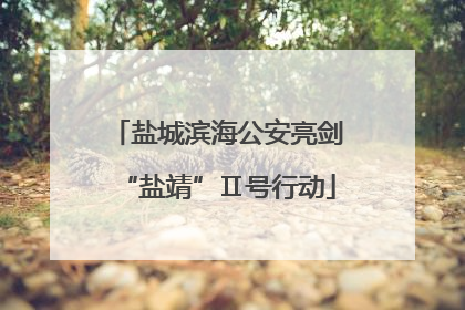 盐城滨海公安亮剑“盐靖”Ⅱ号行动