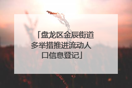 盘龙区金辰街道多举措推进流动人口信息登记