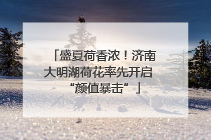 盛夏荷香浓！济南大明湖荷花率先开启“颜值暴击”