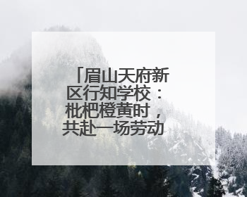 眉山天府新区行知学校：枇杷橙黄时，共赴一场劳动与爱的盛宴