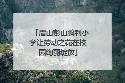 眉山彭山鹏利小学让劳动之花在校园绚丽绽放
