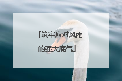 筑牢应对风雨的强大底气