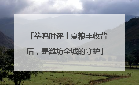 筝鸣时评丨夏粮丰收背后，是潍坊全城的守护